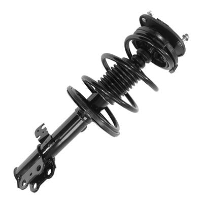 SHOCKS & STRUTS