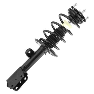 SHOCKS & STRUTS