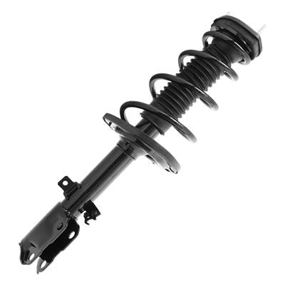 SHOCKS & STRUTS