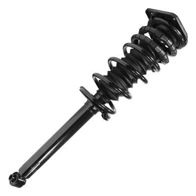 SHOCKS & STRUTS