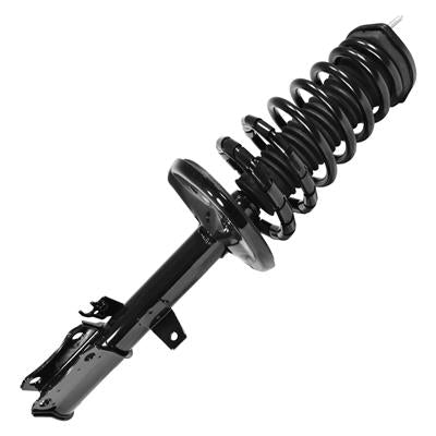 SHOCKS & STRUTS