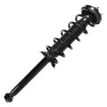 SHOCKS & STRUTS
