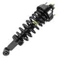 SHOCKS & STRUTS