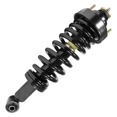 SHOCKS & STRUTS