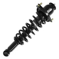 SHOCKS & STRUTS