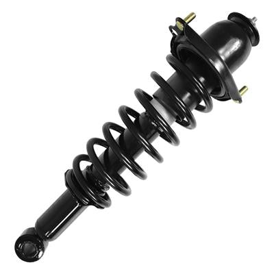 SHOCKS & STRUTS