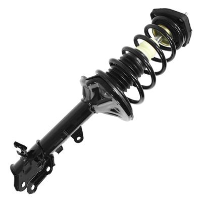 SHOCKS & STRUTS