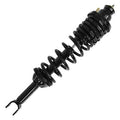 SHOCKS & STRUTS