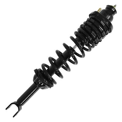 SHOCKS & STRUTS
