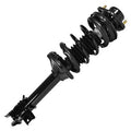 SHOCKS & STRUTS