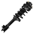 SHOCKS & STRUTS