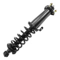 SHOCKS & STRUTS