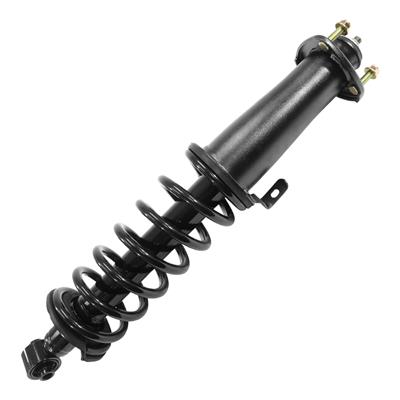 SHOCKS & STRUTS