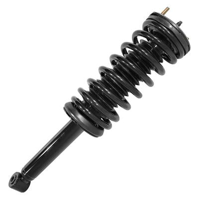 SHOCKS & STRUTS