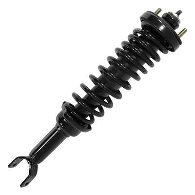 SHOCKS & STRUTS