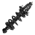 SHOCKS & STRUTS