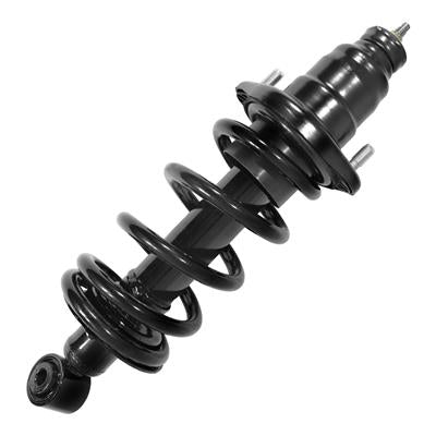 SHOCKS & STRUTS