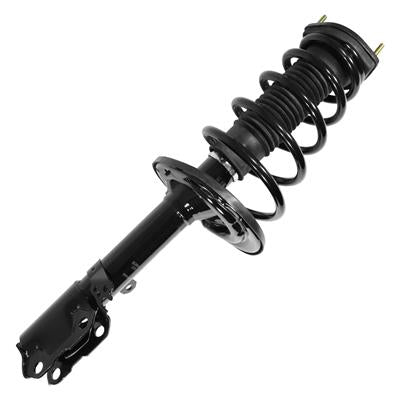 SHOCKS & STRUTS