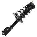 SHOCKS & STRUTS