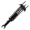 SHOCKS & STRUTS