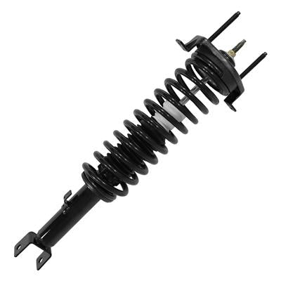 SHOCKS & STRUTS