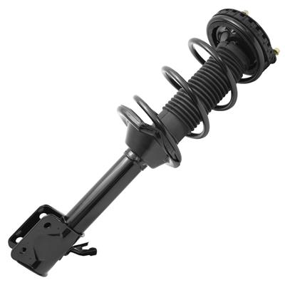 SHOCKS & STRUTS