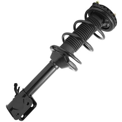 SHOCKS & STRUTS