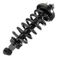 SHOCKS & STRUTS
