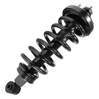 SHOCKS & STRUTS