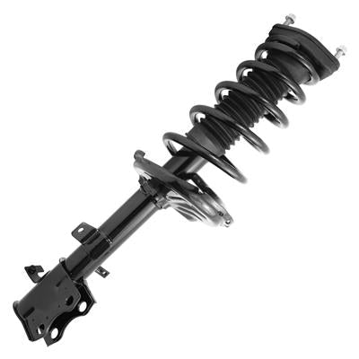SHOCKS & STRUTS