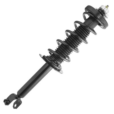 SHOCKS & STRUTS