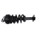 STRUT AND COIL SPRING ASSEMBLY