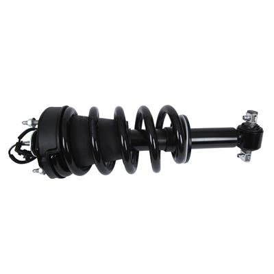 STRUT AND COIL SPRING ASSEMBLY