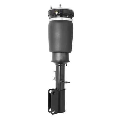 NON-ELECTRONIC AIR STRUT ASSEM