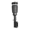 NON-ELECTRONIC AIR STRUT ASSEM