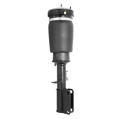 NON-ELECTRONIC AIR STRUT ASSEM