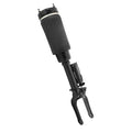 ELECTRONIC AIR STRUT ASSEMBLY