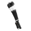 ELECTRONIC AIR STRUT ASSEMBLY