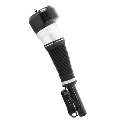ELECTRONIC AIR STRUT ASSEMBLY