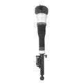 ELECTRONIC AIR STRUT ASSEMBLY