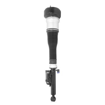 ELECTRONIC AIR STRUT ASSEMBLY