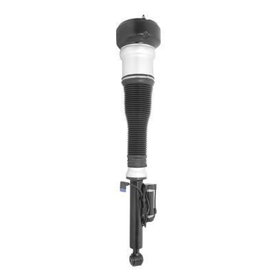 ELECTRONIC AIR STRUT ASSEMBLY