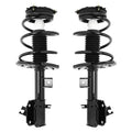 SHOCKS & STRUTS