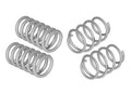 COIL SPRING SET