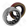 BEARING AND SEAL KIT