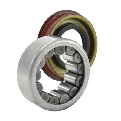 BEARING AND SEAL KIT