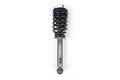 LOADED STRUT ASSEMBLY