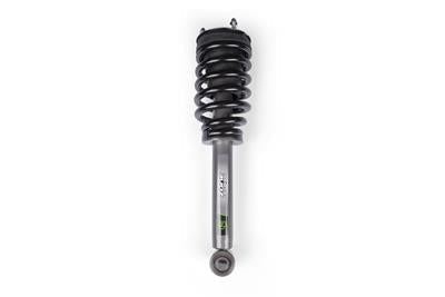 LOADED STRUT ASSEMBLY