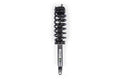 LOADED STRUT ASSEMBLY