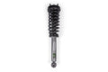 LOADED STRUT ASSEMBLY